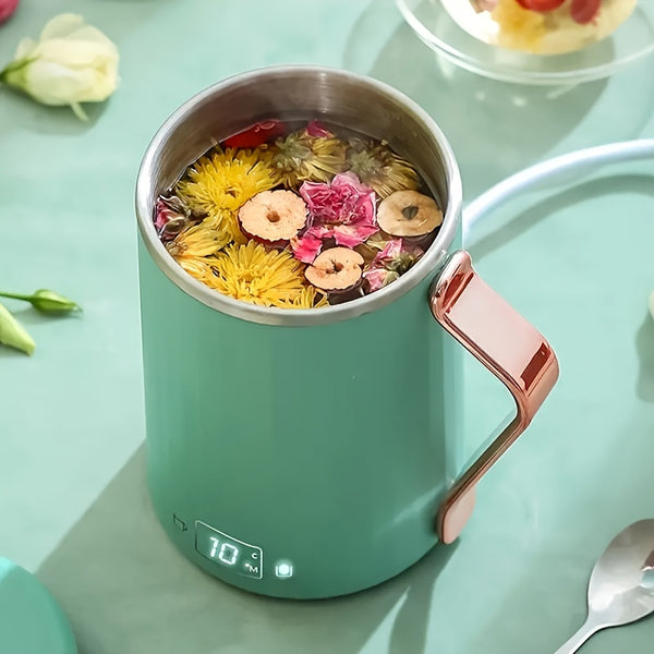 Quick Boiling Electric Kettle