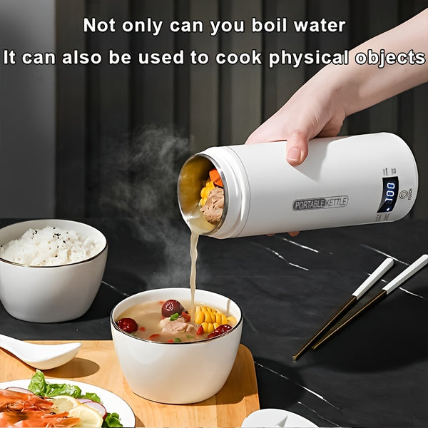 Portable Electric Kettle with US Plug - 120V Stainless Steel