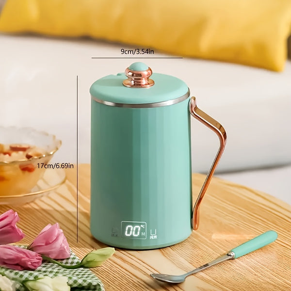 Quick Boiling Electric Kettle